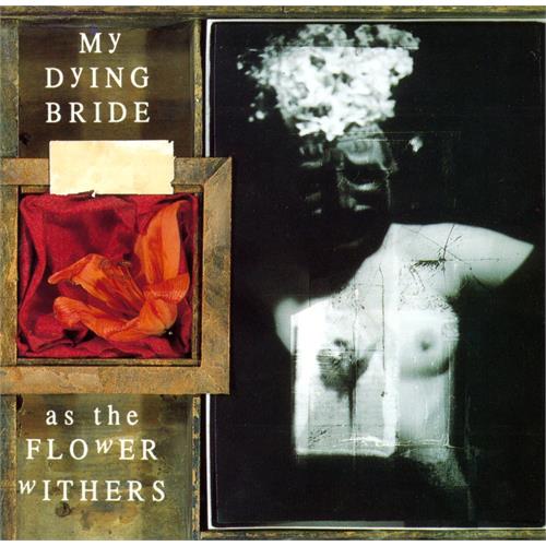 My Dying Bride As the Flower Withers (LP)